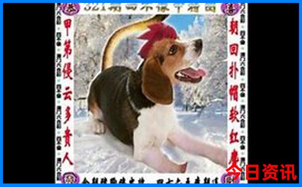 湖南长沙哪里好玩景点排名